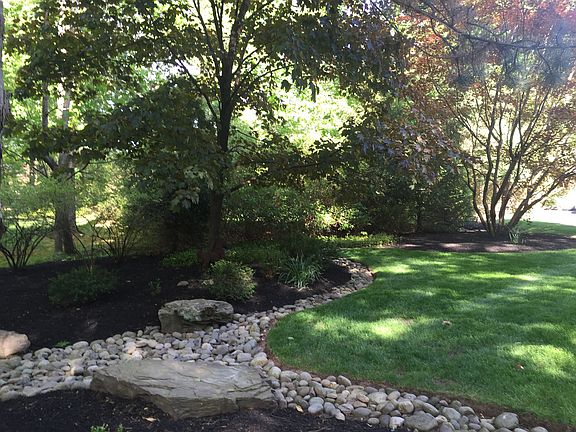 Low maintenance garden