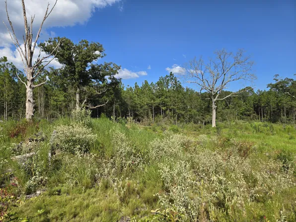 0 Sapphire Dr, Purvis, MS 39475