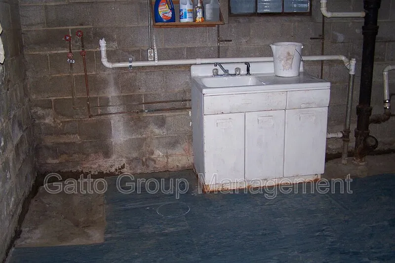 2 bed, 1.0 bath, 750 sqft, $800 — Photo 4
