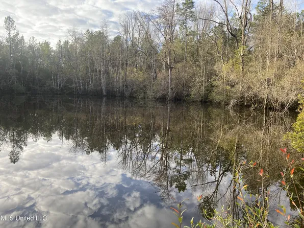Blue Lake Rd, Perkinston, MS 39573
