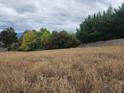 5633 Saddle Ridge Dr, Medford, OR, 97504