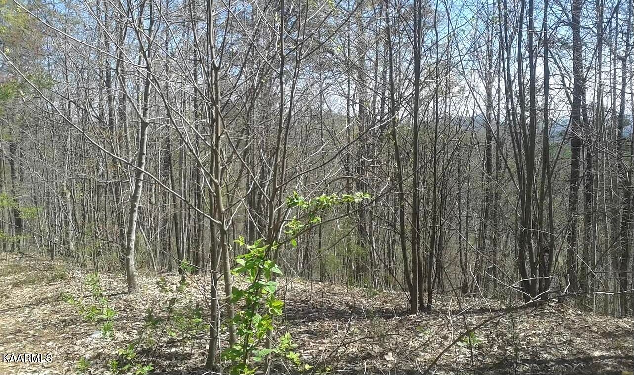 Little Cove Rd, Sevierville, TN 37862 Zillow