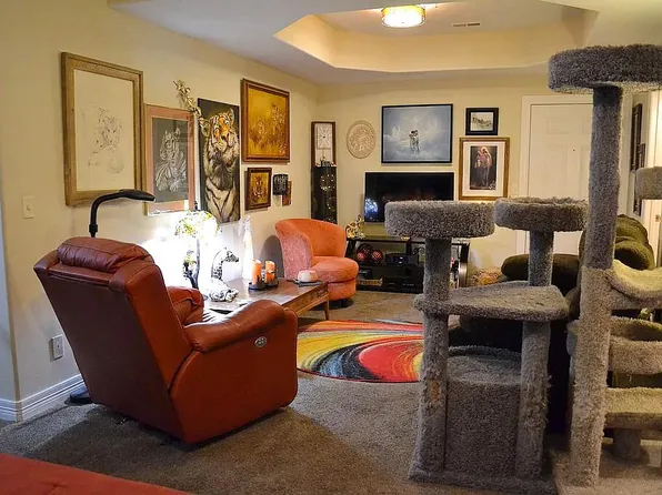 180 Grace Chapel Road Unit 221, Blue Eye, MO 65611