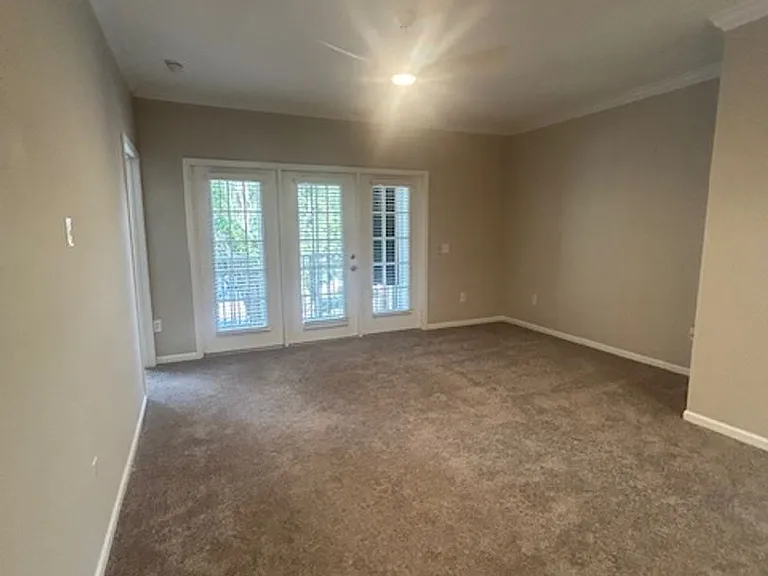 1704 Frederica Rd #428 — Photo 7
