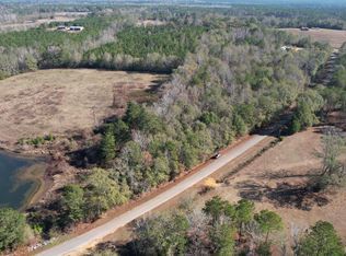 0 Wilkerson Rd #0, Georgiana, AL 36033