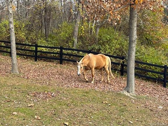 5th image of 71 Frost Road