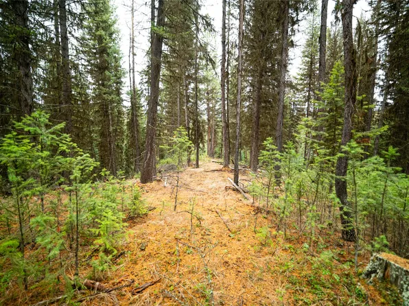 1875 Lower Lost Prairie Rd, Marion, MT 59925