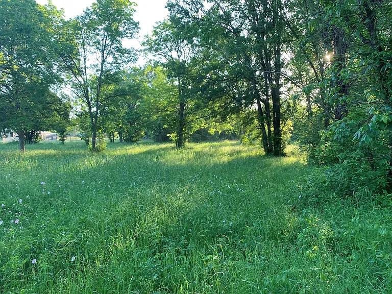 501 FM 1227 Rd — Photo 11