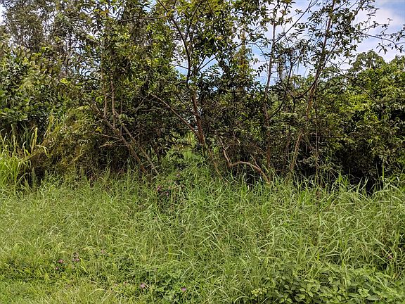 5th image of 7th Ave Lot 1115