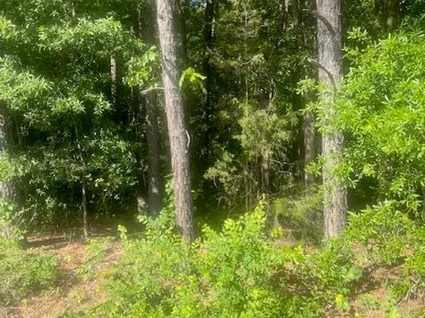 1106 Clayton Rd #13-19, Durham, NC 27703