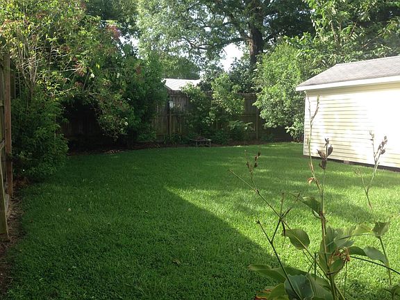 back yard