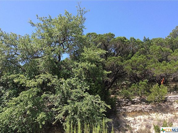 4th image of 1231 Rockmoor