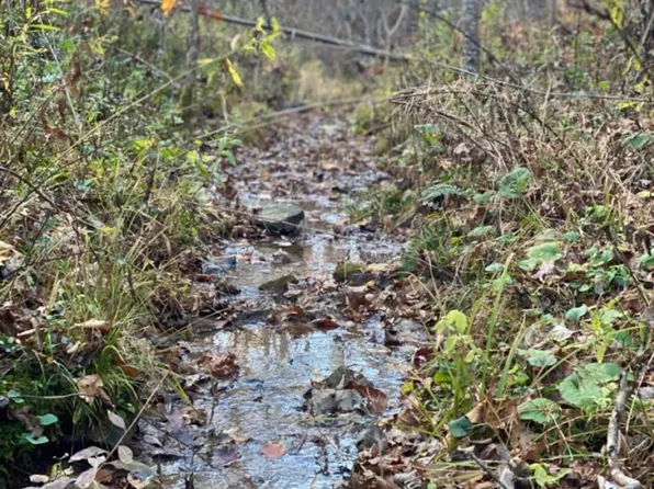 TRACT Two High Knob Rdg, Annville, KY 40402