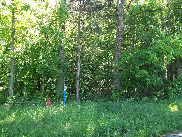 2nd image of 740 Rosetown Rd