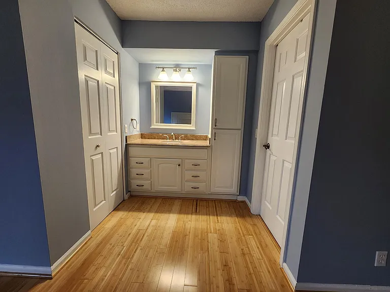 Primary en-suite vanity