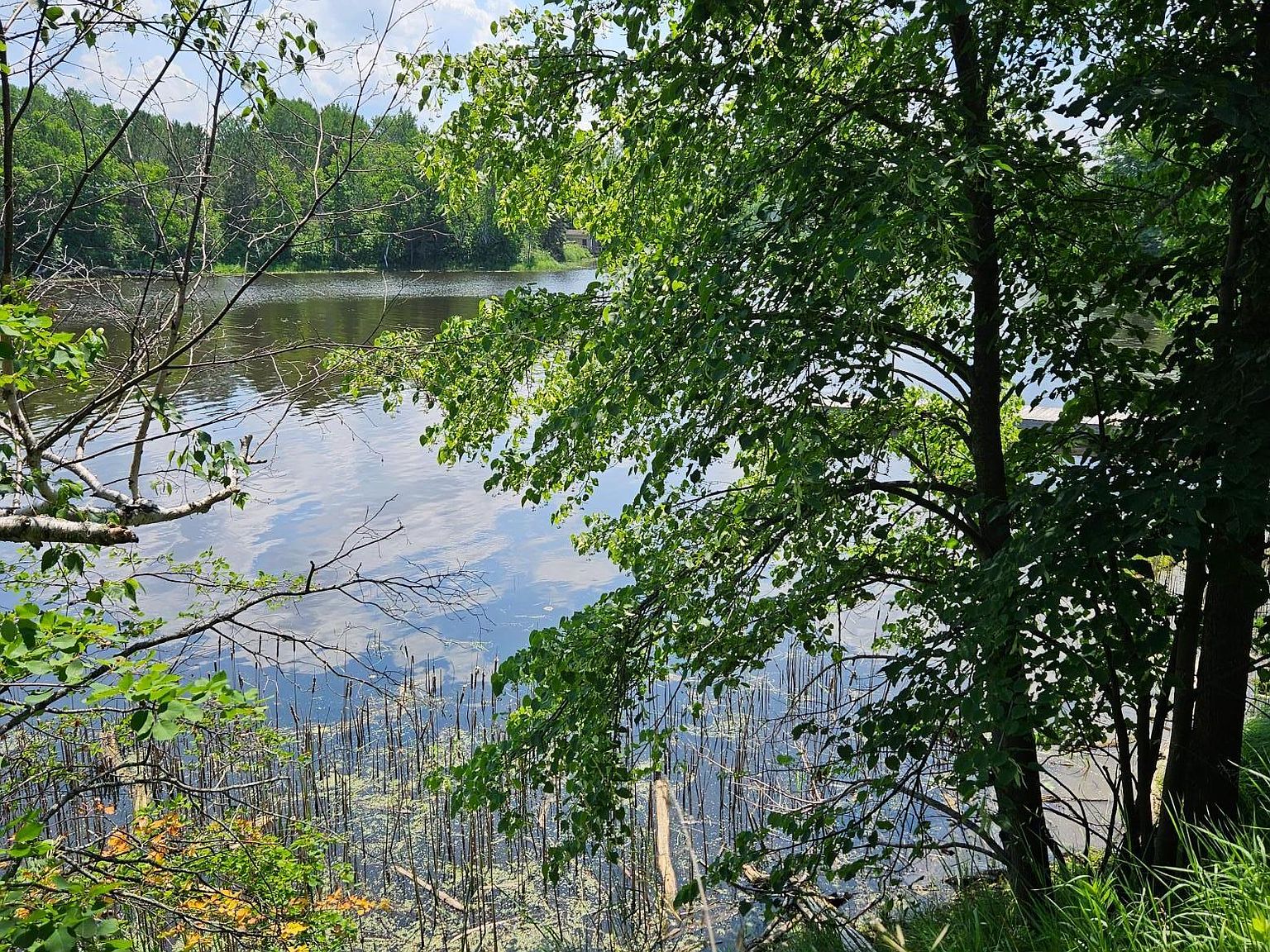 LOT 15 Hooper Creek Loop NW, Baudette, MN 56623 MLS 6396309 Zillow