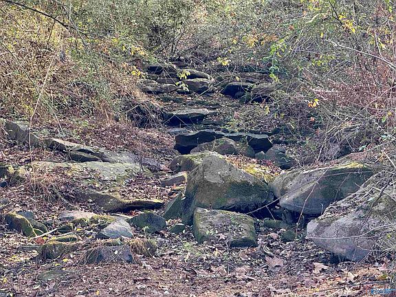 4th image of Brown Rd