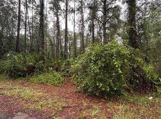 Sequoia Drive Trl LOT 3, Ocklawaha, FL 32179
