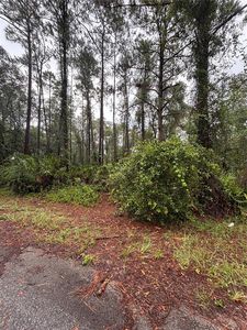 Sequoia Drive Trl Lot 3, Ocklawaha, FL, 32179