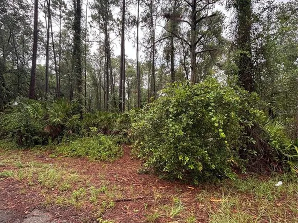 Sequoia Drive Trl Lot 3, Ocklawaha, FL 32179
