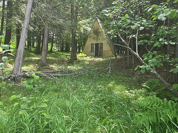 5th image of 9026 Mushroom Ln