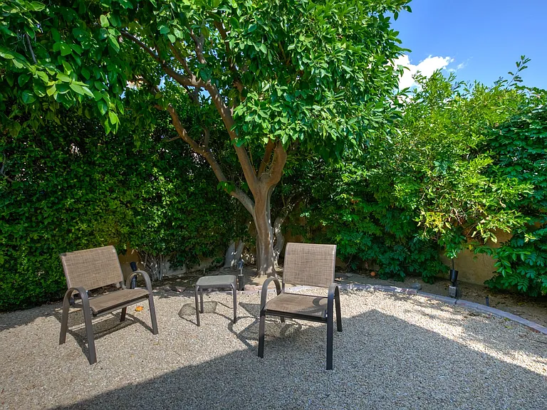 Grapefruit, orange, tangelo, lime, lemon and tangerine trees.