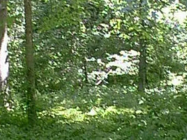 419 Lockwood Rd, Davis, IL 61019