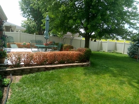 2nd image of 1351 N Westshore Blvd