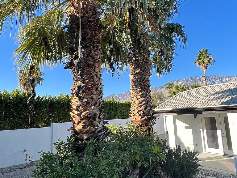 2212 N San Clemente Rd — Photo 44