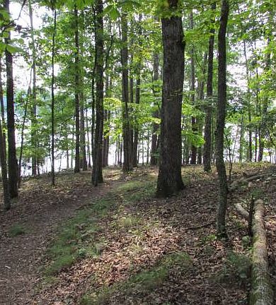 Gentle Trail to Water