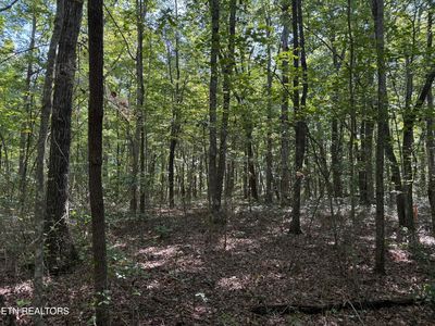 LOT 11 Jumpoff Pl, Monterey, TN, 38574
