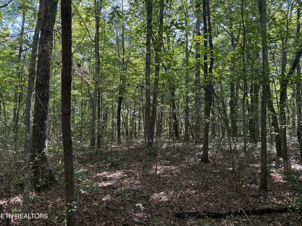 LOT 11 Jumpoff Pl, Monterey, TN 38574