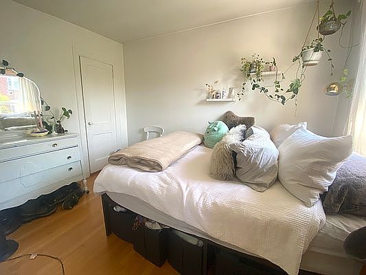 5th image of 168 Bedford Ave Floor 3