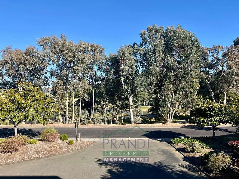 137 Pixley Ave — Photo 17