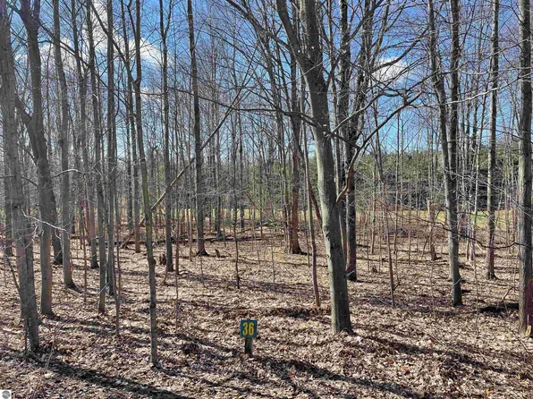 36 Woodspath Way Unit 0, Thompsonville, MI 49683