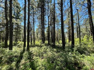 102 Pineway Dr, Bayfield, CO 81122
