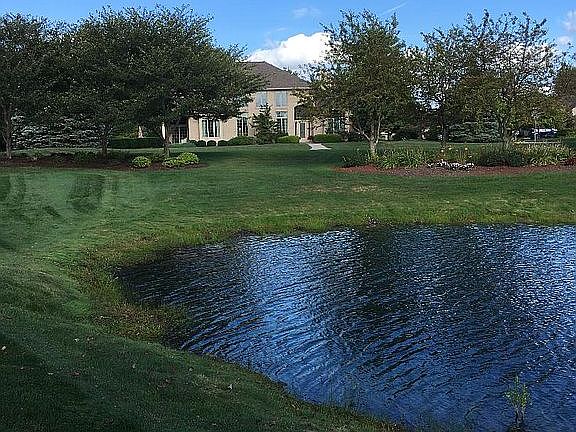 pond across the street