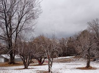 22026 October Rd, Eckert, CO 81418