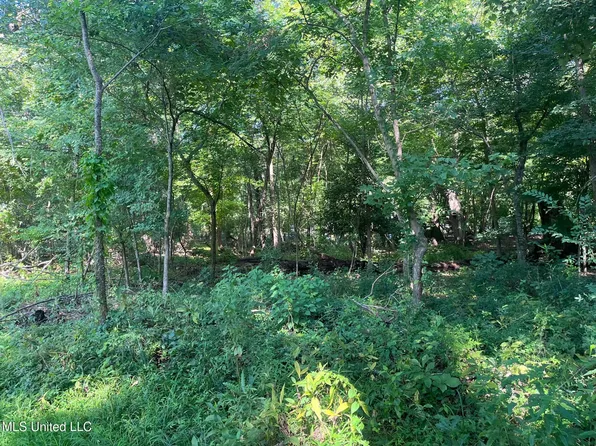 Church Hill Rd, Fayette, MS 39069