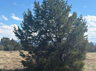 29A County Road 8339, Concho, AZ 85924