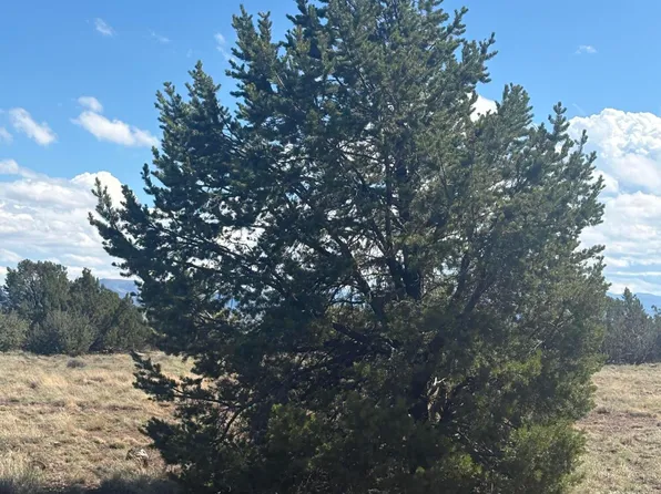 29A County Road 8339, Concho, AZ 85924