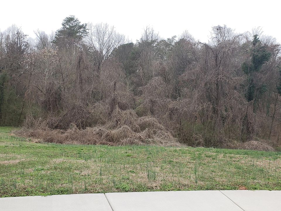 1st image of 717 Shane Dr Lot 8