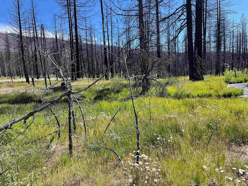 2nd image of 44505 Highway 36 E