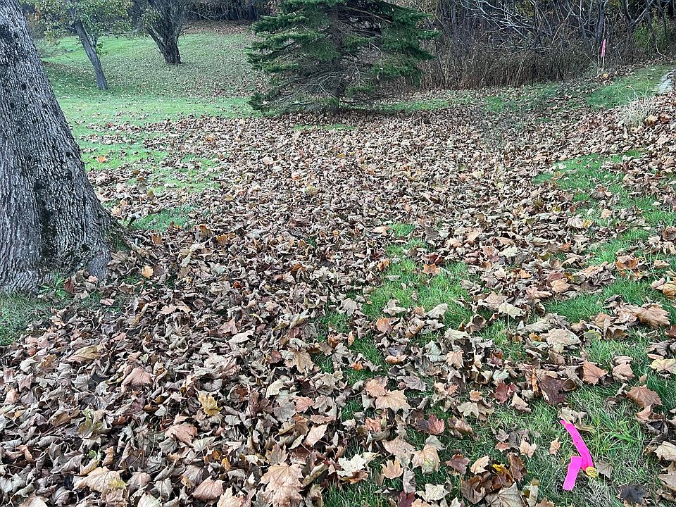 2nd image of 0 Reed Street