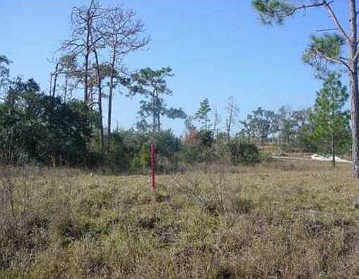1st image of 1309 Homosassa Dr