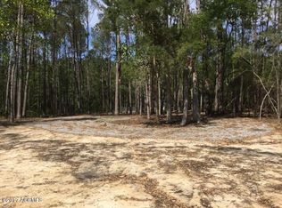 461 Paige Point Blf, Seabrook, SC 29940