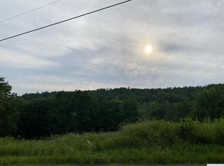 Robinson Rd, Conesville, NY 12076