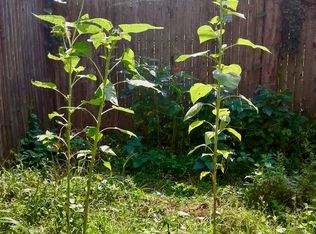 1822 Bleecker St FLOOR 1, Ridgewood, NY 11385