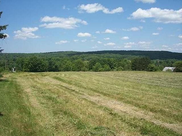 2nd image of 4 Maple