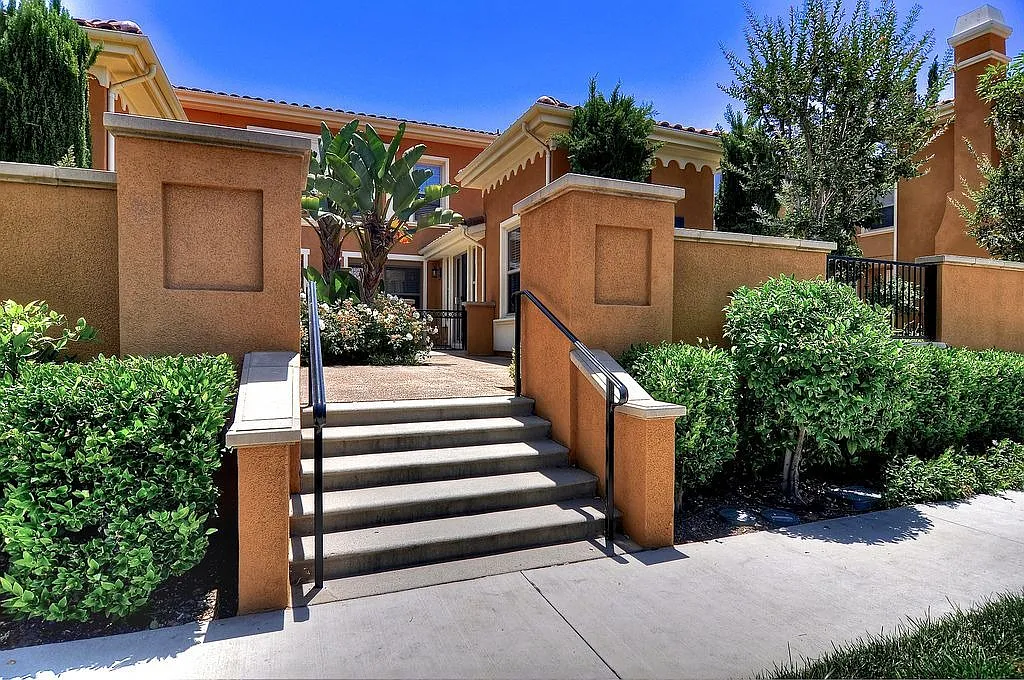 200 Wild Lilac photo 1